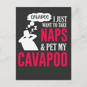 Carte Postale Napper et familier mon Cavapoo Chien Nap Humour