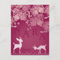Nara Japan Sakura Deer Hand Illustré