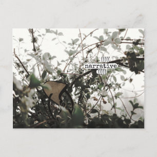 Carte Postale (((narratif)))