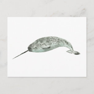 Carte Postale Narval aquarelle