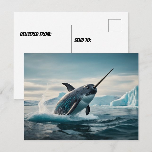 Carte Postale Narwhal sautant hors de l'eau (Devant / Derrière)