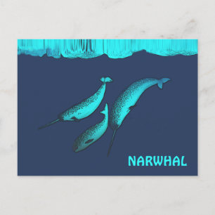 Carte Postale Narwhal Sous La Glace