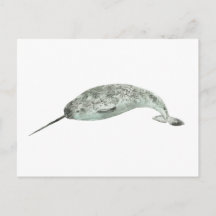 Narwhal whale watercolor