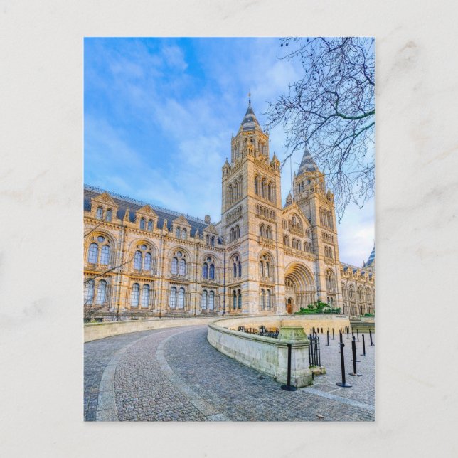 Carte Postale Natural History Museum, Londres (Devant)
