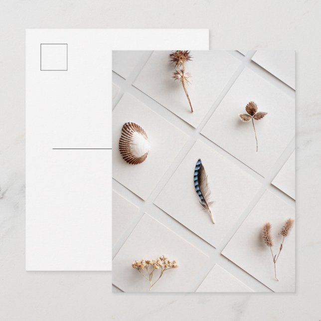 Carte Postale Natural Specimen Collection Minimalist (Devant / Derrière)