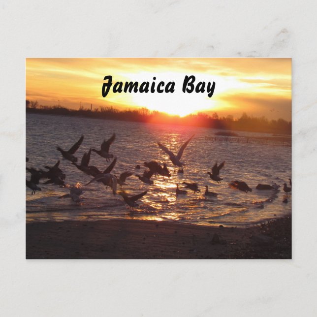 Carte postale Nature (Devant)