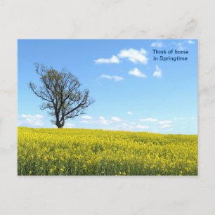 Carte postale Nature