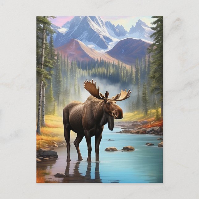 Carte Postale *~* Nature AP49 MOOSE Mountain Forest STREAM (Devant)