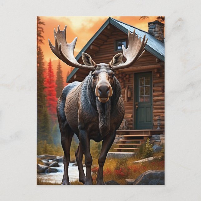 Carte Postale *~* Nature Cabine STREAM AP49 MOOSE Forest (Devant)