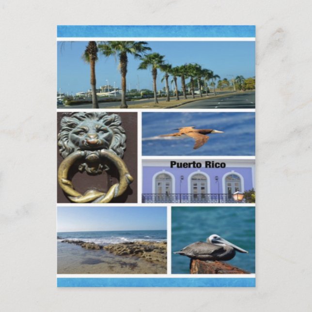 Carte Postale Nature collage of San Juan, Porto Rico (Devant)