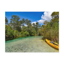 Carte postale nature de Floride