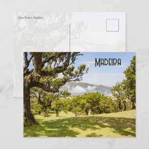 Carte Postale Nature et paysage de la forêt de Fanal, Madère