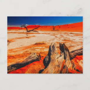 Carte Postale Nature Inspirations Namibie, Afrique