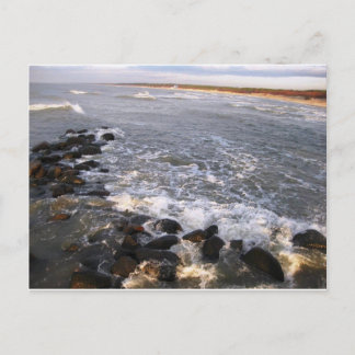 Carte postale "Nature. Lituanie, Palanga"