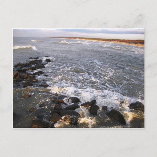 Carte postale "Nature. Lituanie, Palanga" (Devant)