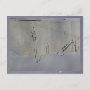 Carte Postale nature morte en hiver blanc