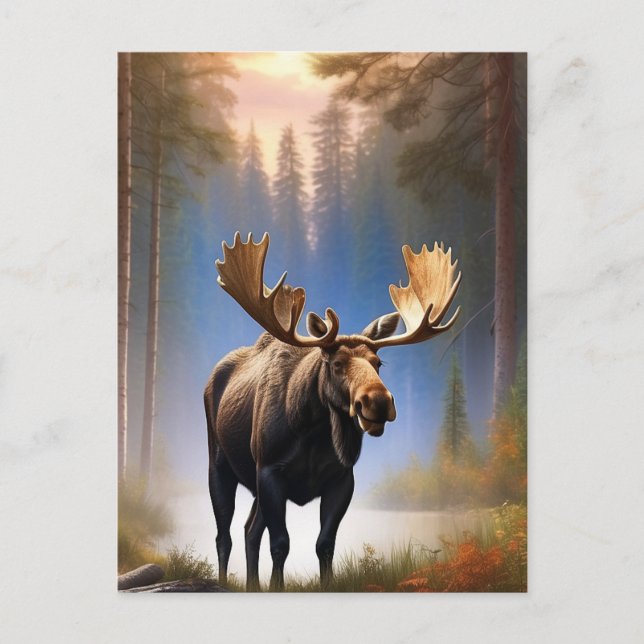 Carte Postale *~* Nature STREAM AP49 MOOSE Forest (Devant)