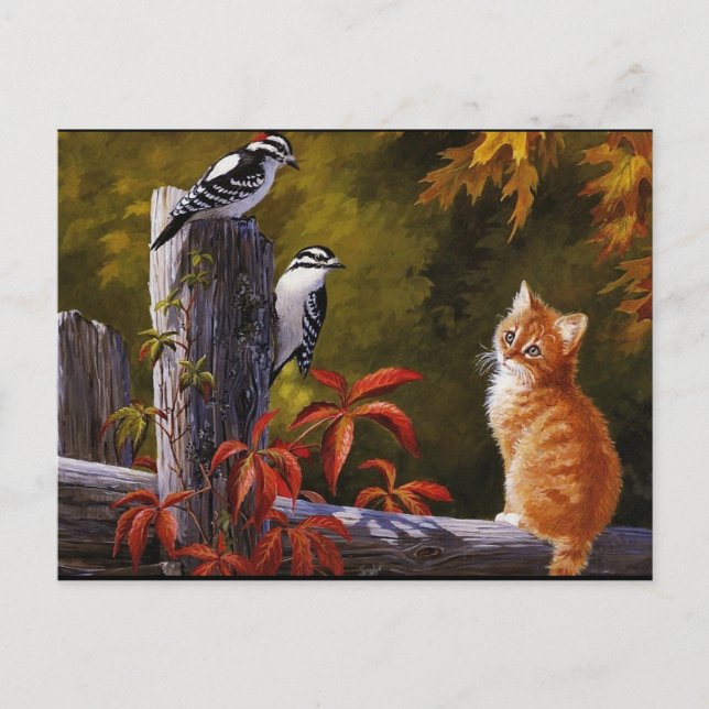 Carte Postale Natures Animaux (Devant)