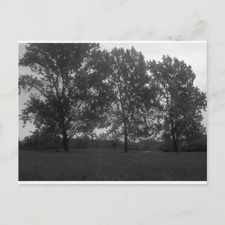 Carte Postale Natures Triplets Croissant Avec Le Vent