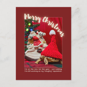 Carte Postale Naughty and mignon Christmas Baby Turtle avec Père