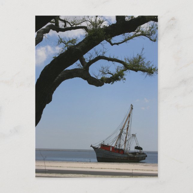 Carte Postale Navires Ahoy Post Card (Devant)