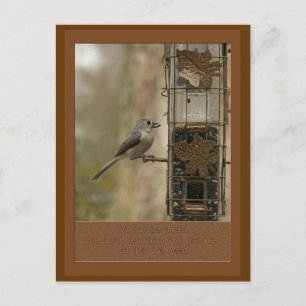 Carte Postale n'ayez pas peur que Dieu fournisse l'oiseau sur la