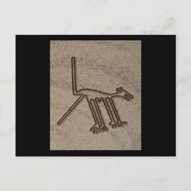 Carte Postale NAZCA LINES CHIEN NAZCA LINES ART Géoglyphes ancie (Devant)