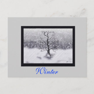 Carte Postale Né en hiver