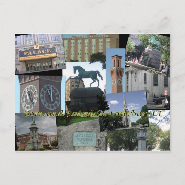 Carte Postale Né et élevé à Waterbury CT (Devant)