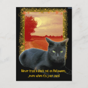 Carte Postale Ne jamais faire confiance à un chat noir pour Hall