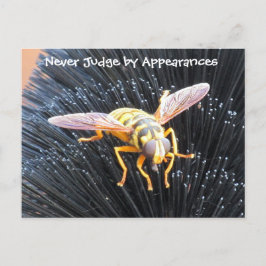 Carte Postale Ne jamais juger par apparences Bee Postcard
