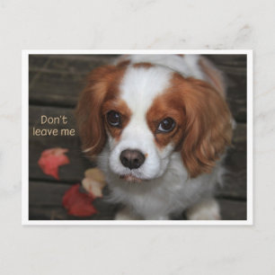 Carte Postale Ne m'abandonne pas   Verlass mich nicht