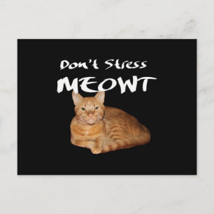 Carte Postale Ne me stressez pas - Le chat orange me stresse