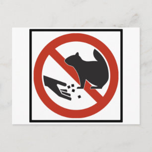 Carte Postale Ne pas nourrir les écureuils