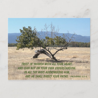 Carte Postale Ne pas vous soucier de votre propre compréhension