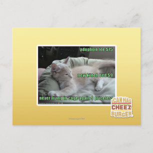 Carte Postale Ne plus jamais vivre dans une cage