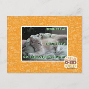 Carte Postale Ne plus jamais vivre dans une cage