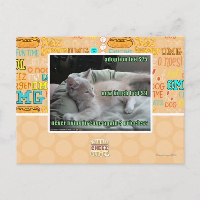 Carte Postale Ne plus jamais vivre dans une cage (Devant)