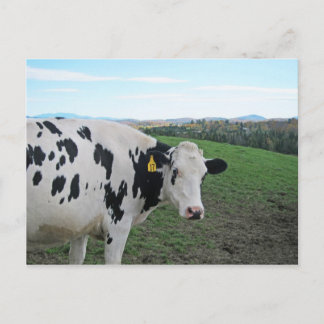 Carte Postale Ne regarde pas en arrière