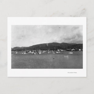 Carte Postale Neah Bay, WA Vue avec bateaux de pêche Photographi