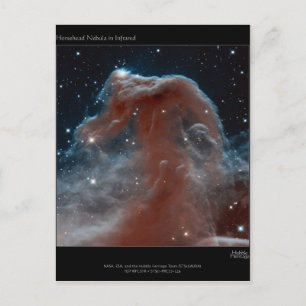 Carte Postale Nebula à tête de cheval