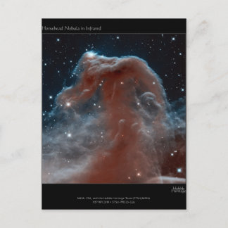 Carte Postale Nebula à tête de cheval