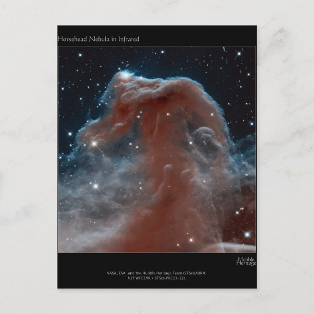 Carte Postale Nebula à tête de cheval (Devant)
