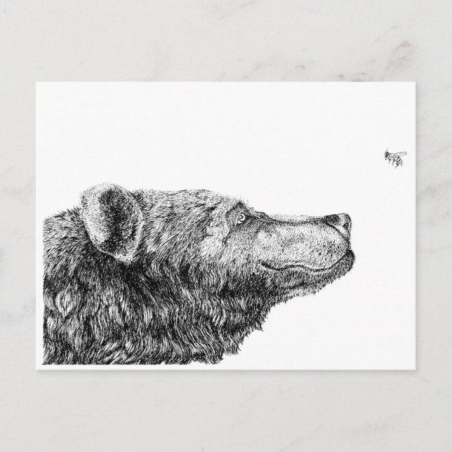 Carte Postale Nécessités d'ours par Inkspot (Devant)