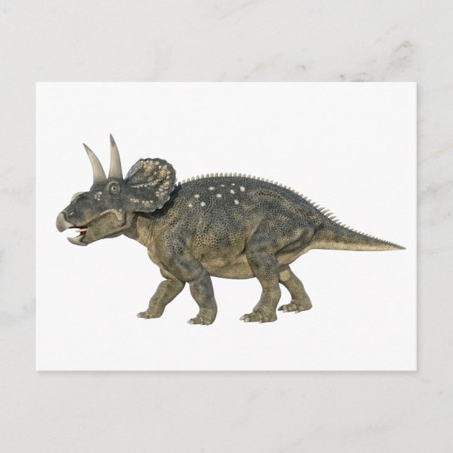 Carte Postale Nedoceratops Dinosaur en cours d'exécution (Devant)