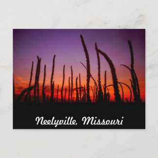 Carte Postale Neelyville Missouri