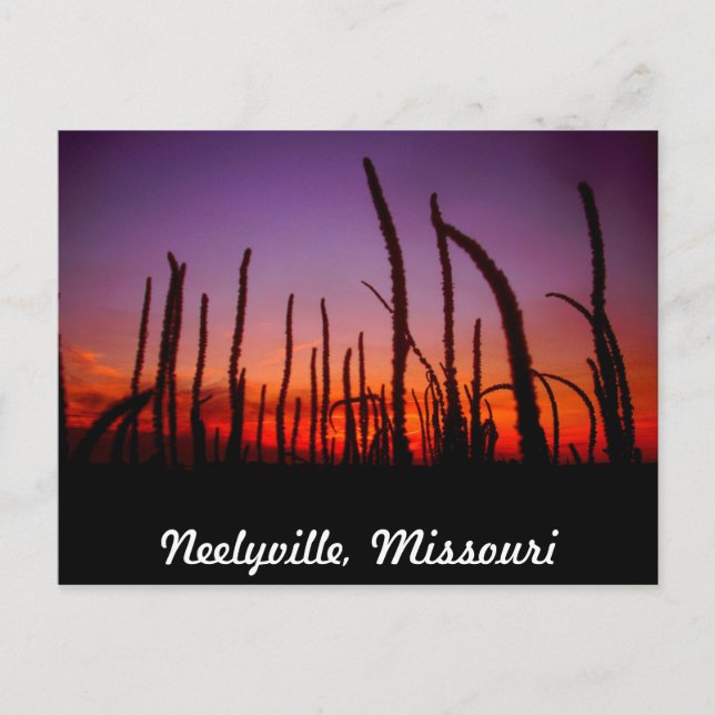 Carte Postale Neelyville Missouri (Devant)