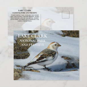 Carte Postale Neige à la neige, Parc national du lac Clark Pos