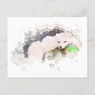 Carte Postale *~* Neige Arctique blanc Renard polaire Ap18 Faune