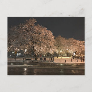Carte Postale Neige de nuit Salem Common Massachusetts Photo